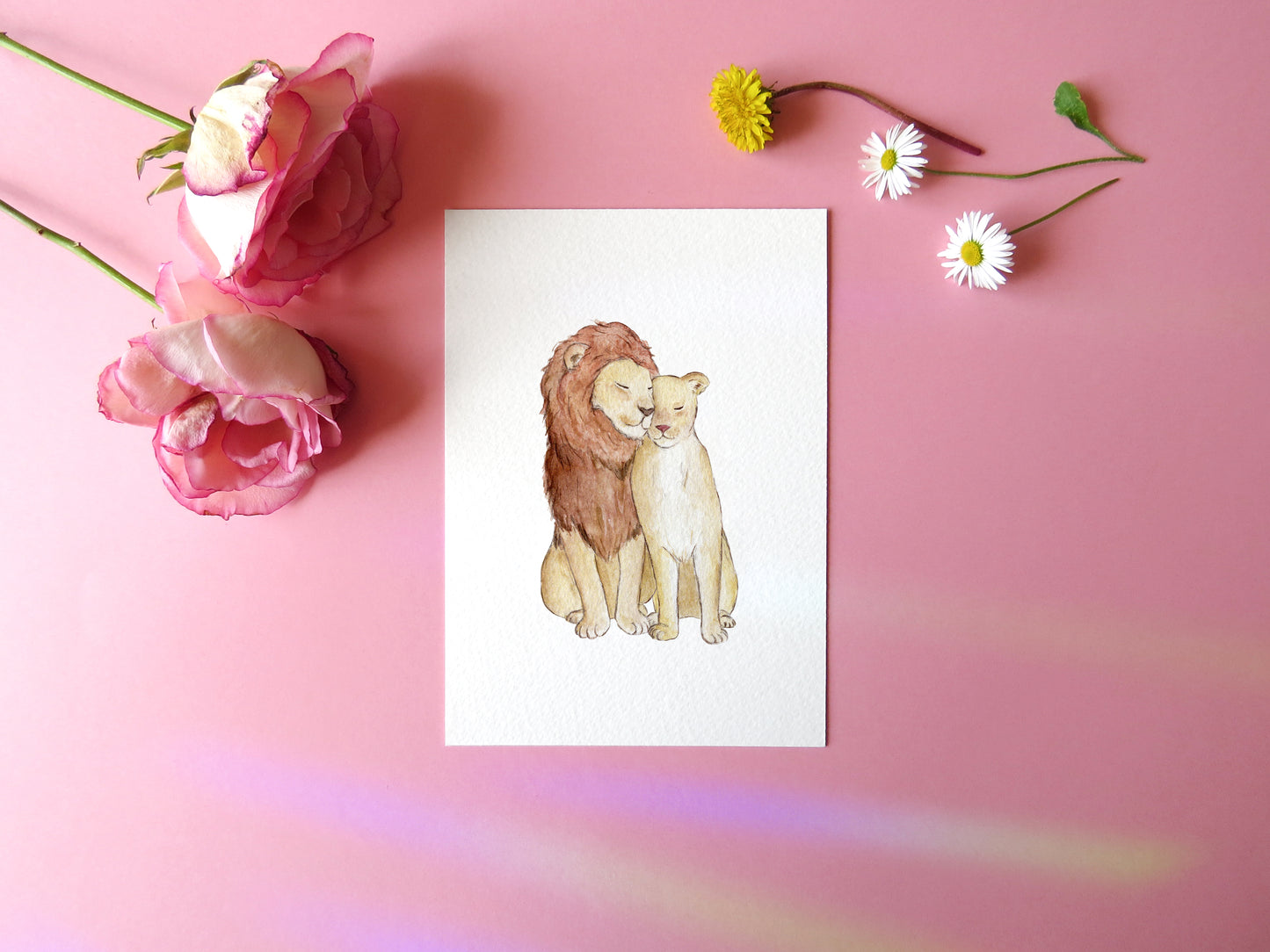 Couple de Lion Impression Artistique