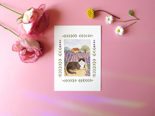 Lavender Fields Print