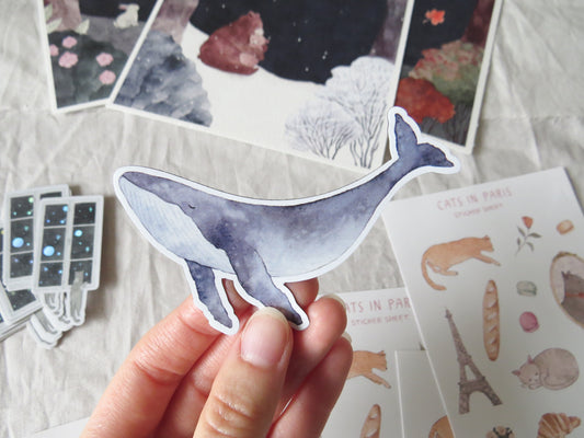 Enchanted Whale Magnet