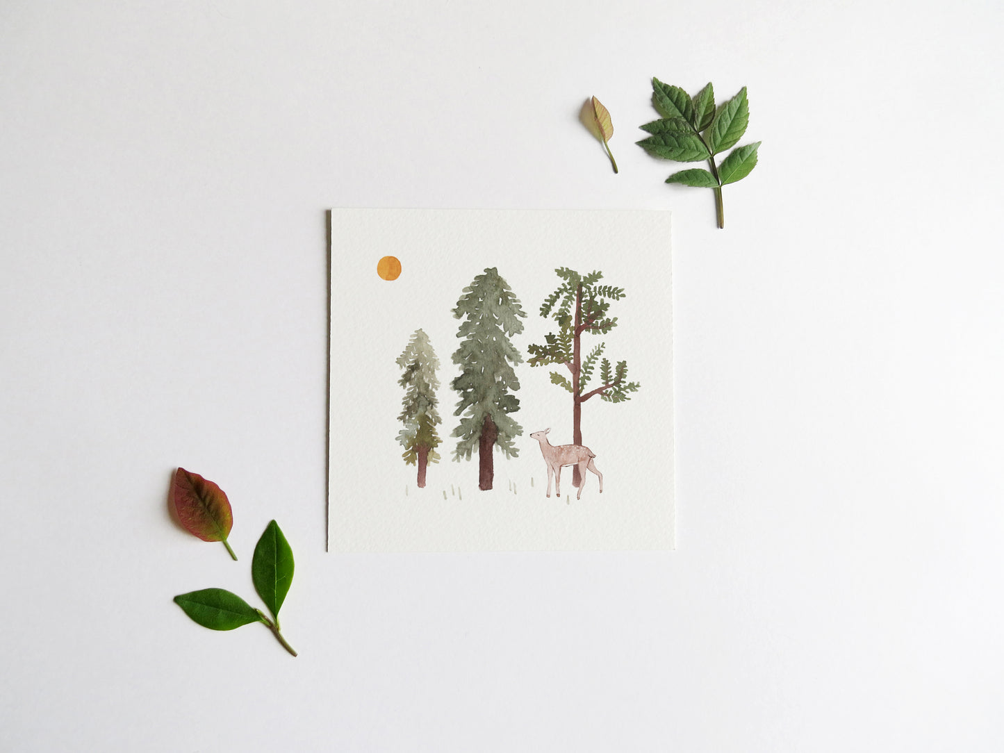 Woodland Art Print