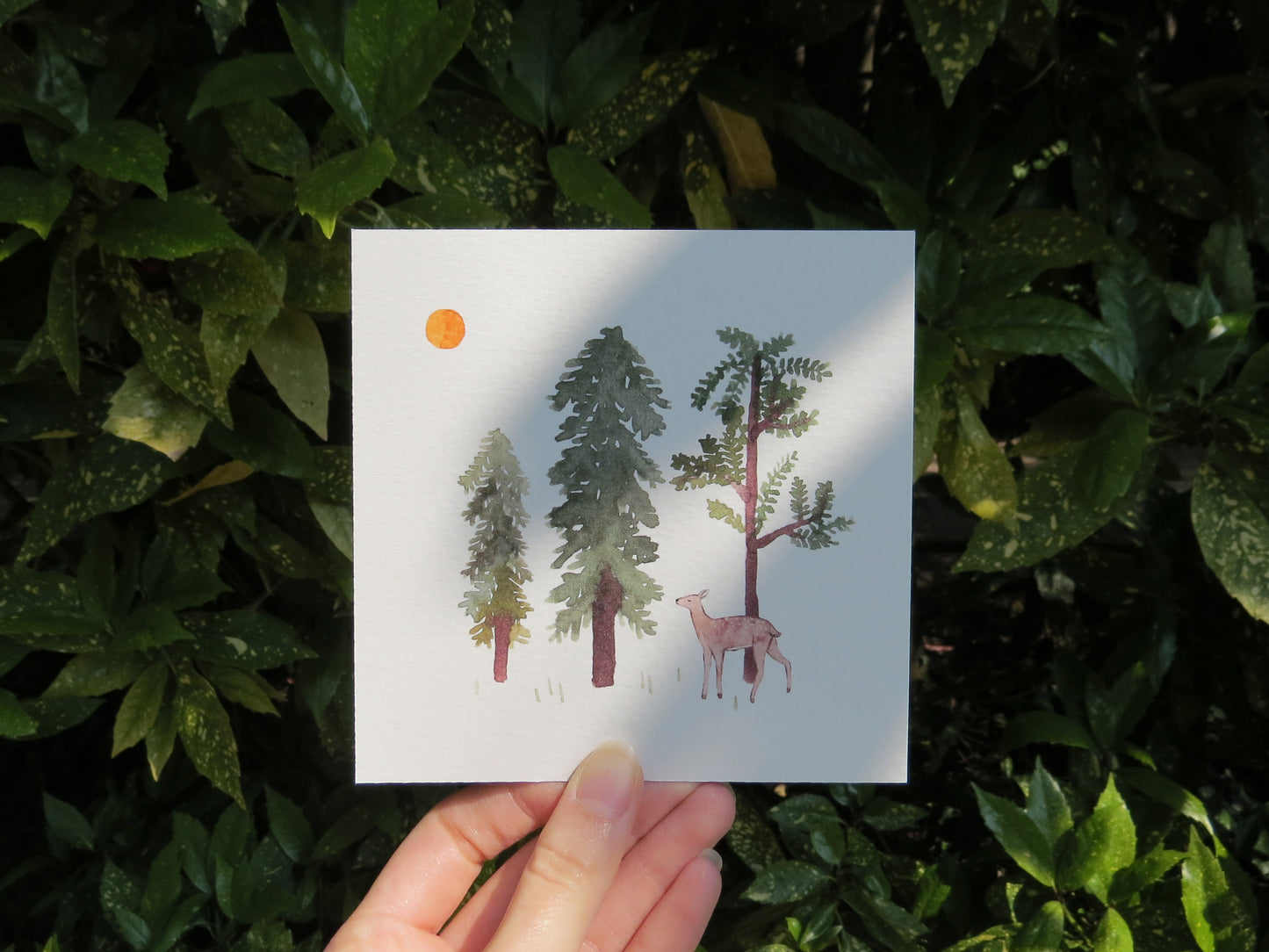 Woodland Art Print