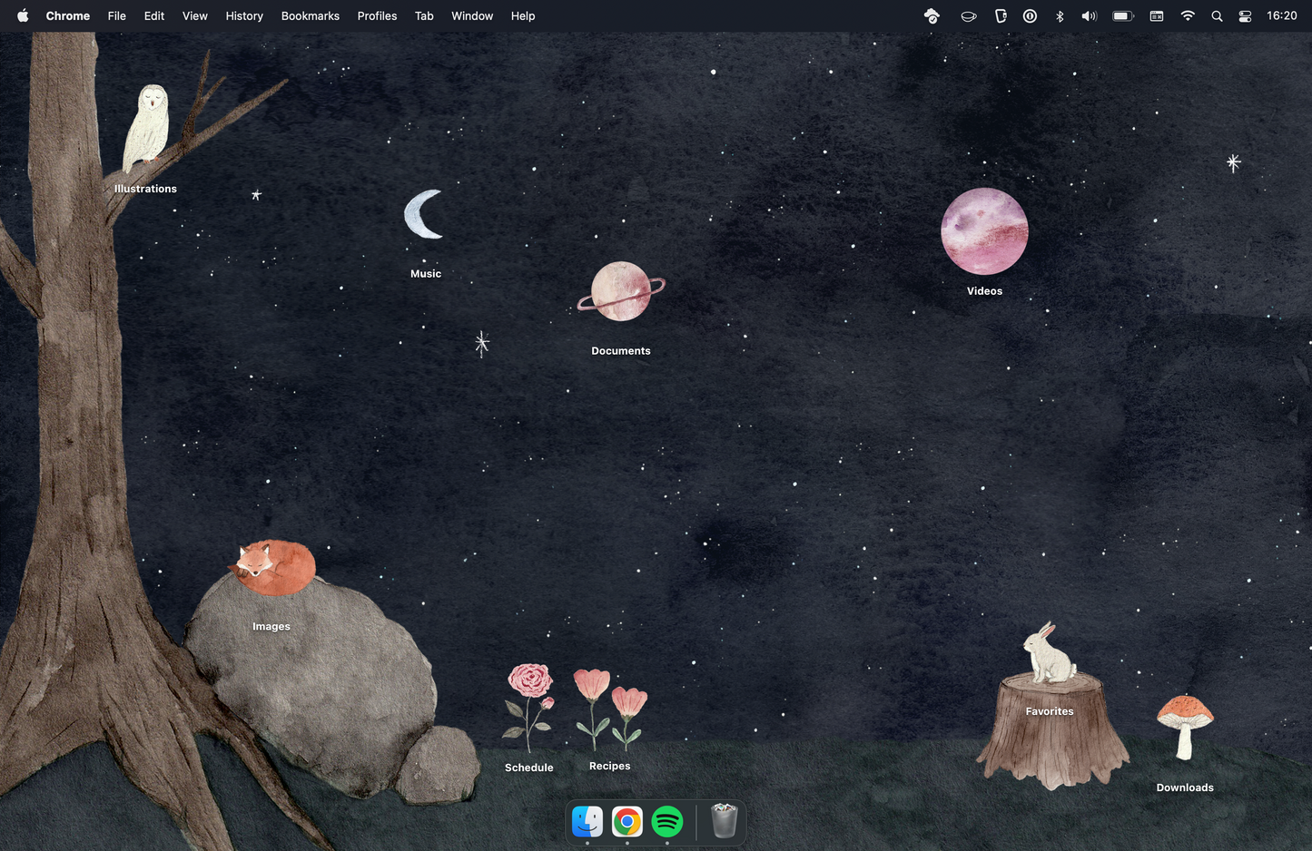 Forest Desktop Organizer