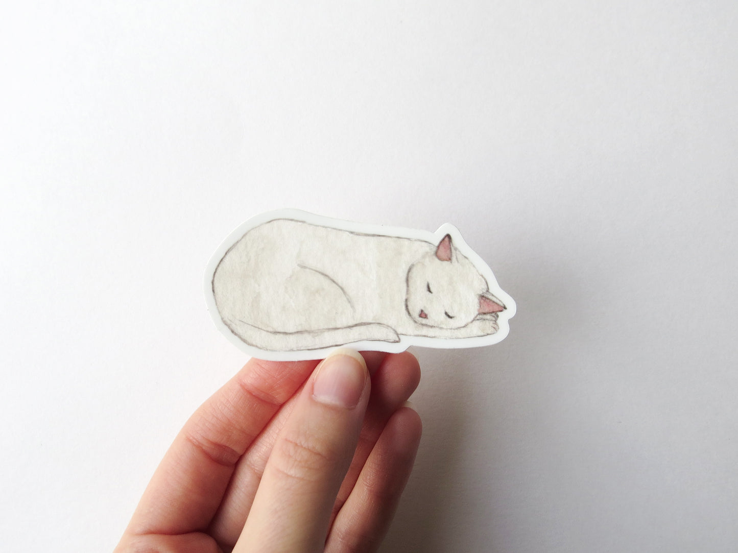 Chat Endormi Sticker