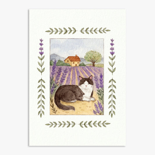 Lavender Fields Print