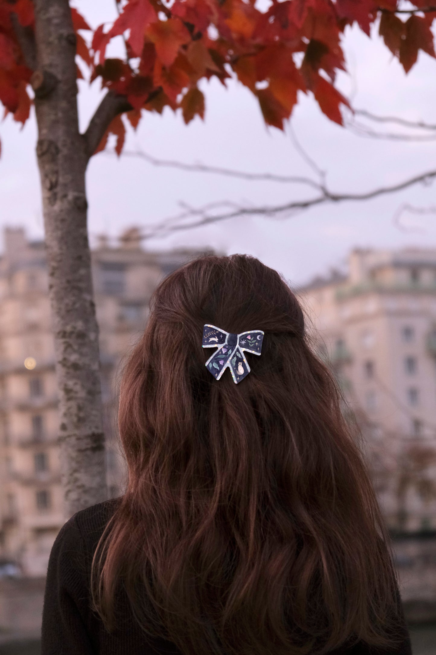 Moonlight Bow Hair Clip