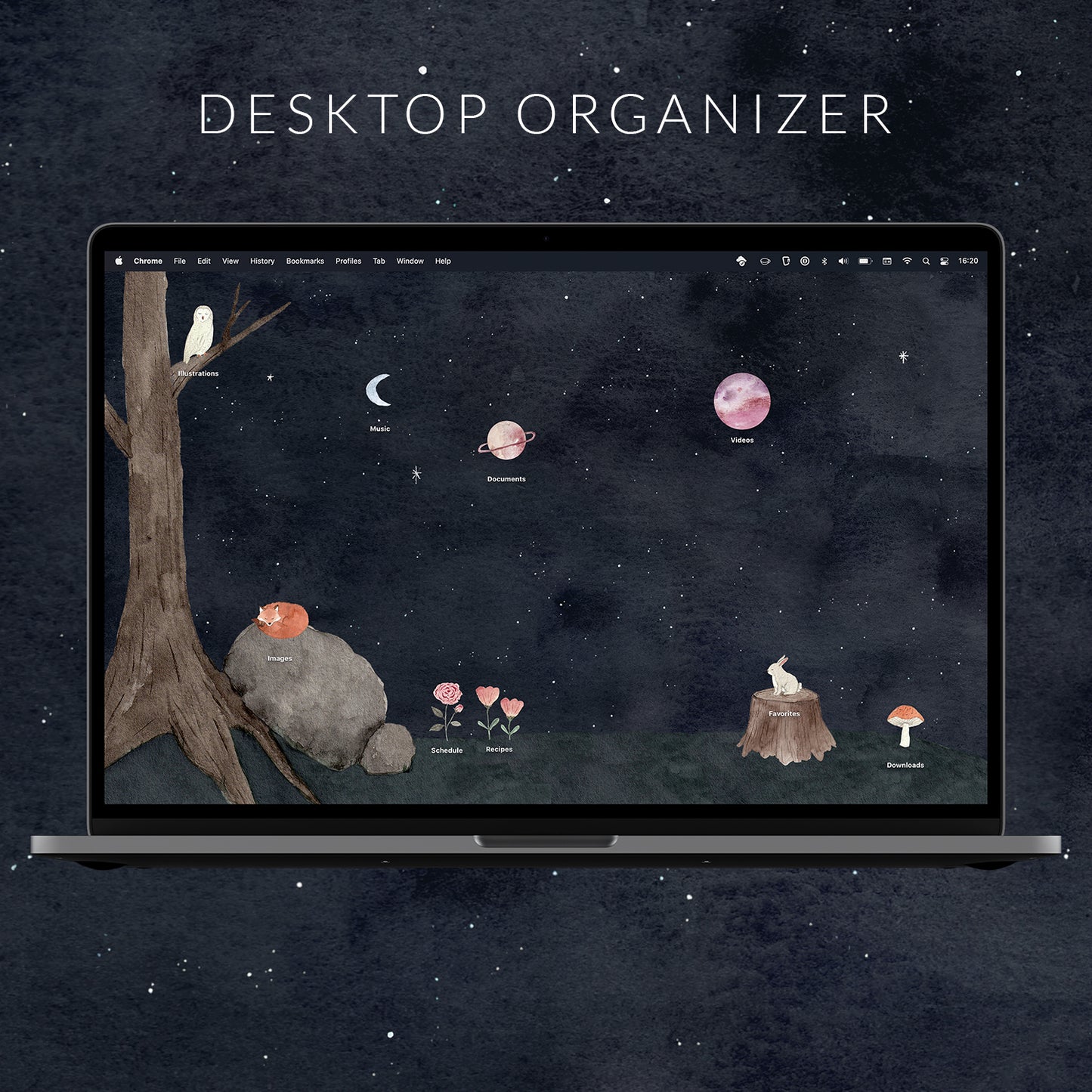 Forest Desktop Organizer
