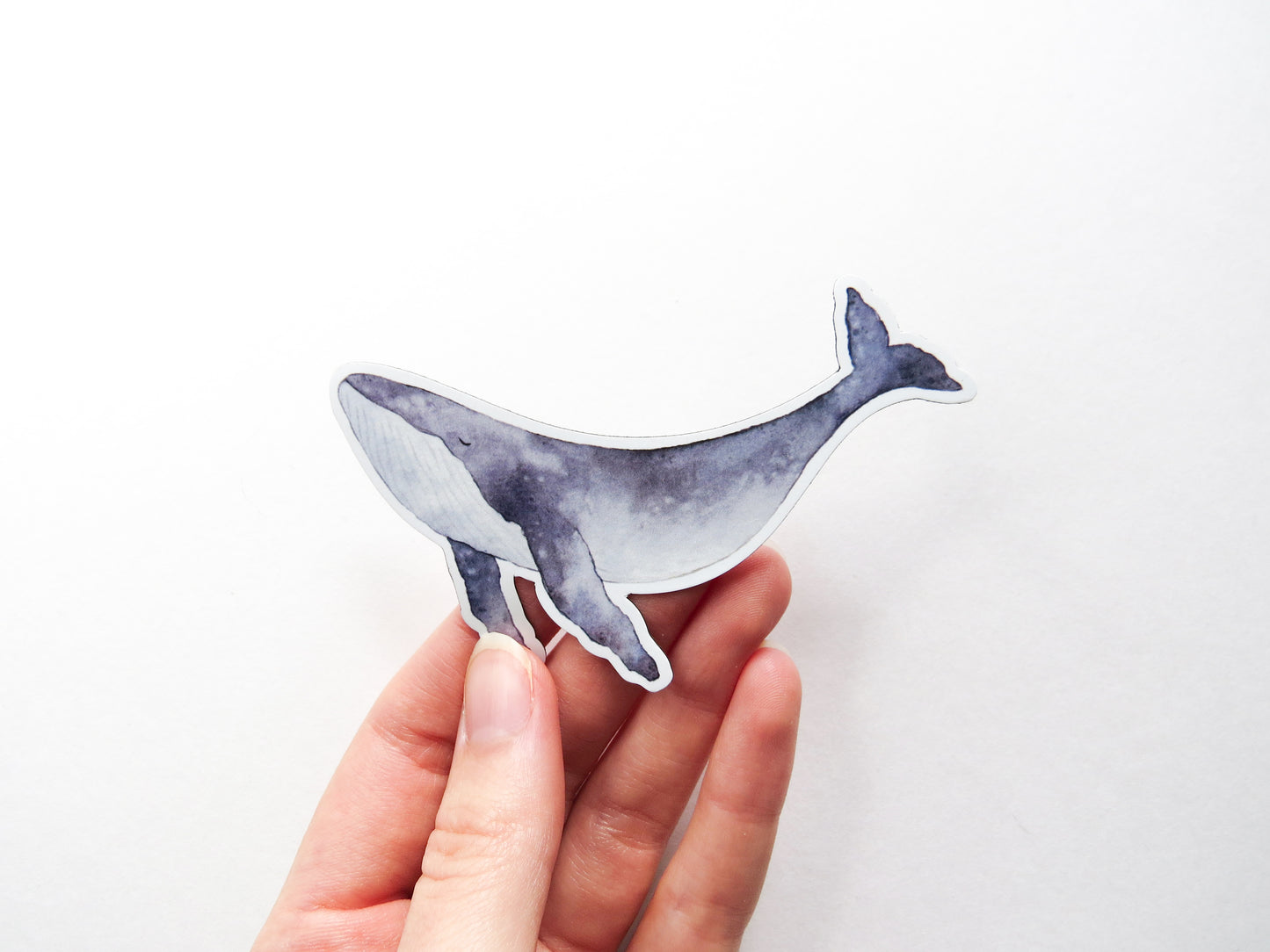 Enchanted Whale Magnet